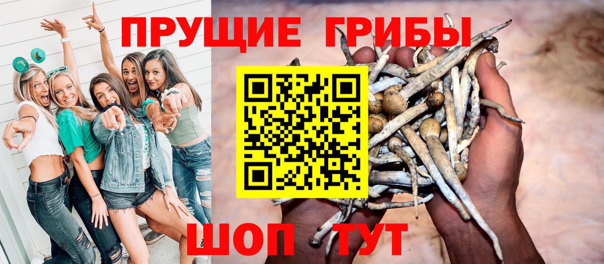 Галлюциногенные грибы ЛСД Фролово